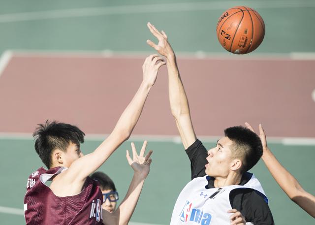 亚州砖码砖专无区