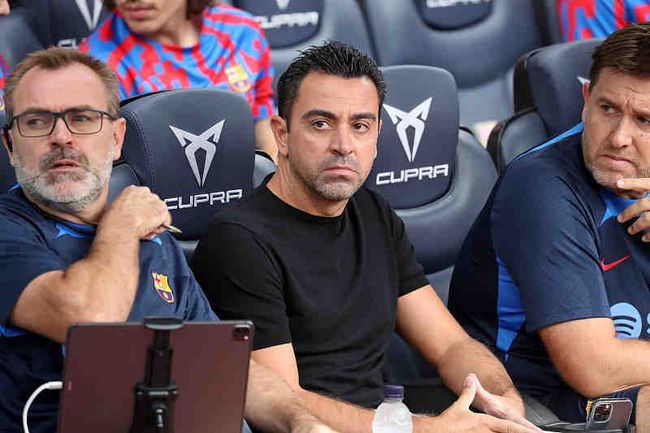 香蕉依人