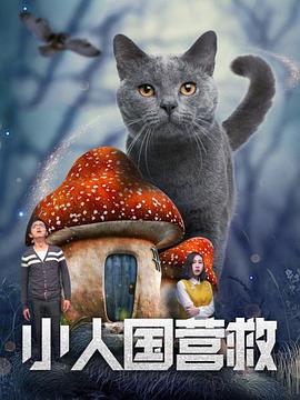 恋爱关系