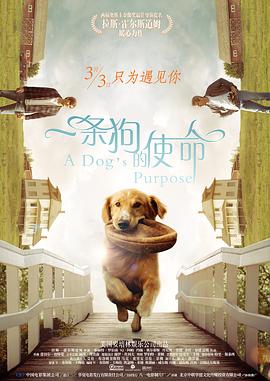 年轻的妹妹2