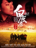 美女100%无挡