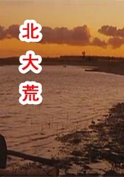 阿拉伯av