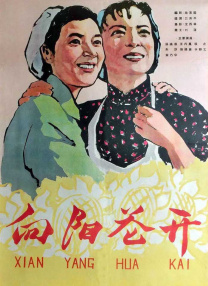 5g影院天天看天天爽